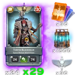 Torfin Blackhelm Small Bundle