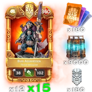 Buri Aegnirssen Large Bundle