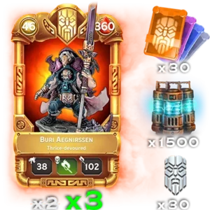 Buri Aegnirssen Small Bundle