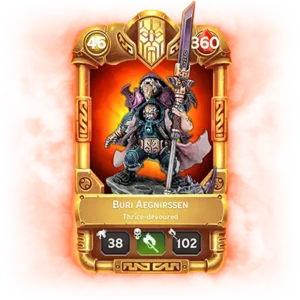 Buri Aegnirssen Large Bundle