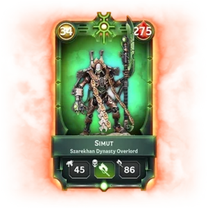 Simut Large Bundle