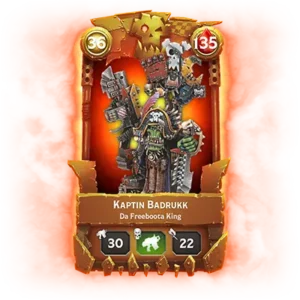 Kaptin Badrukk Large Bundle